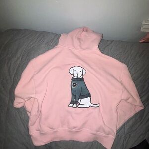 PINK Friday Limited Edition PINK Dog Embroidered Sweater